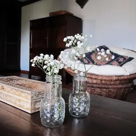 Дом отдыха Casa Do Bisbis Levada Grande